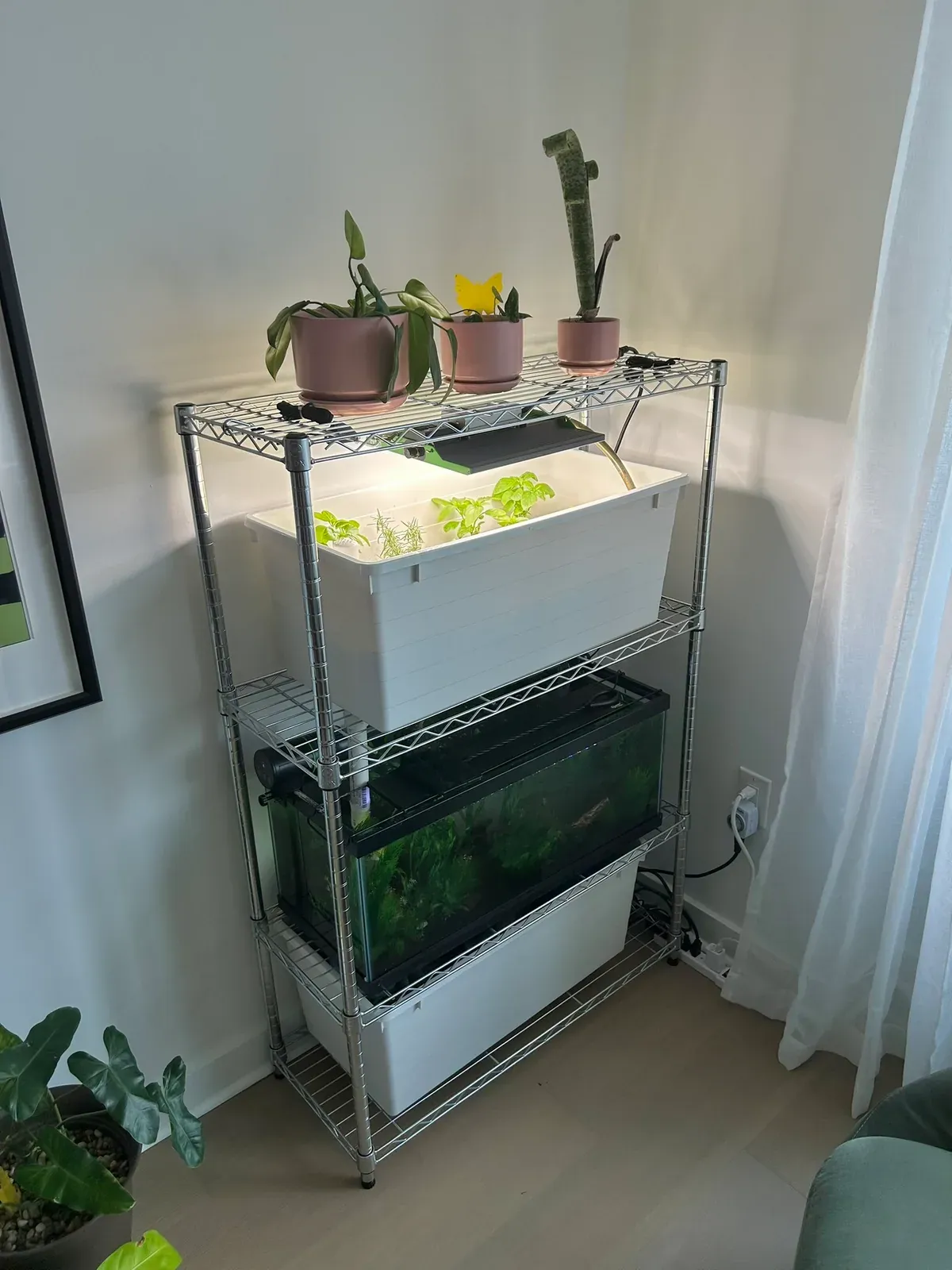 Full tank set-up