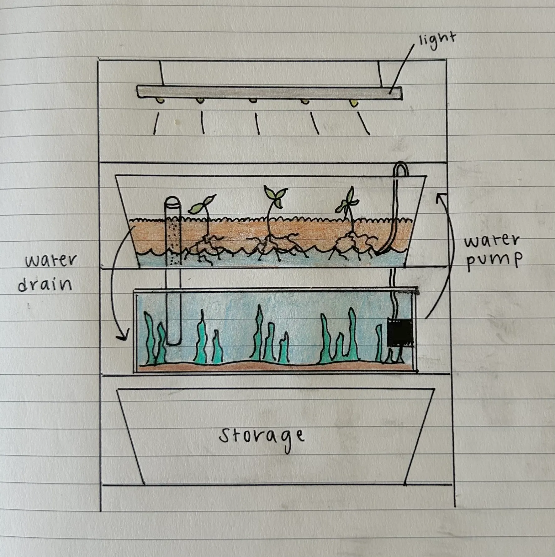 Initial aquaponics system sketch